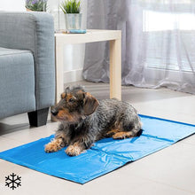 Cargar imagen en el visor de la galería, Cama refrigerante para perros
